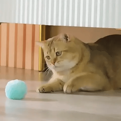 PELOTA INTELIGENTE PARA TU MASCOTA